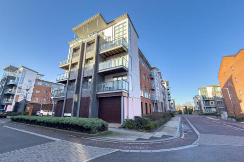 IMG 9075 T202512082037.jpg