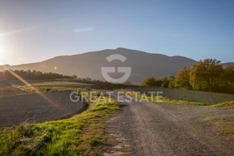 Panorama e Particolari