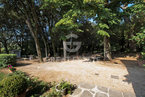 Panorama e Particolari