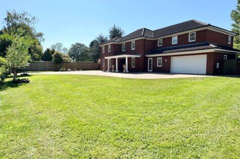 Front garden and house