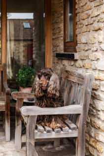 282770 - Ginmill Barn 113.jpg