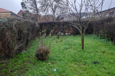 20251215 092313 T202512151258.jpg