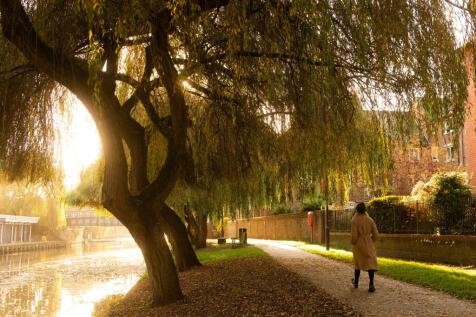 Norwich riverside walk