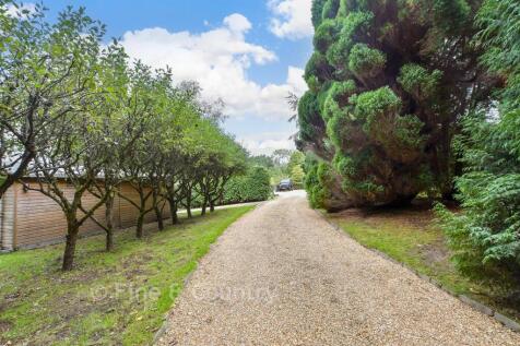 Driveway/Parking