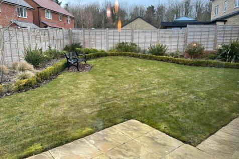 garden.jpg