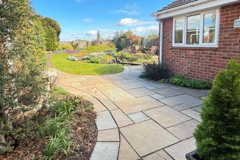 Garden 5