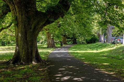 Henrietta Park