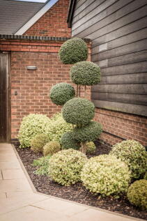 Property Image 62