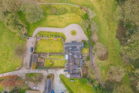 20250321-20250321-DJI_0158 (2).jpg