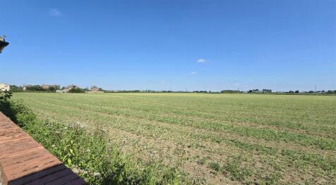 Field Views