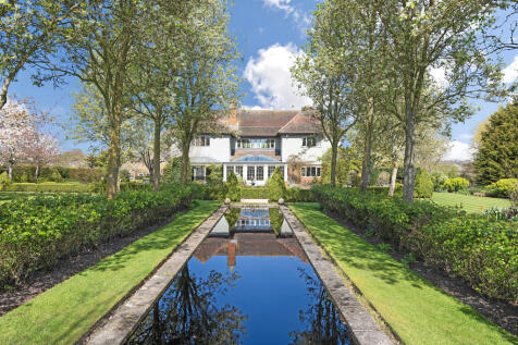 Pond