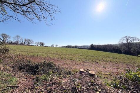 Adjacent farmland