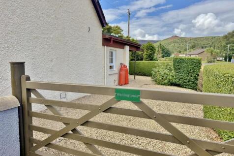 Wellingtonia driveway