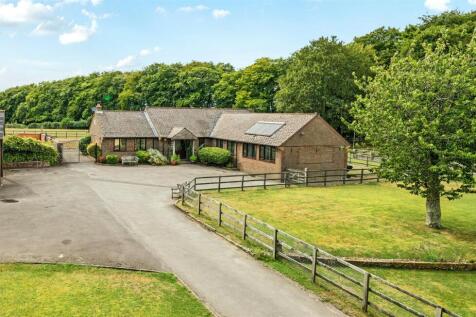 9018342-105873-133978376243991161-25591afa-3765-2b