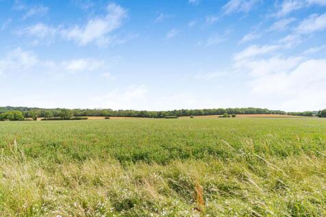 Field Views