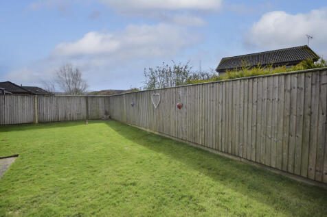 back garden