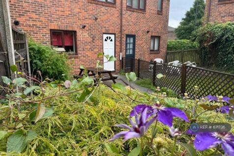 Back Garden - Sunny Aspect, Easy Care