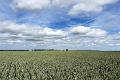 64.86 Acres of Arable Land For Sale