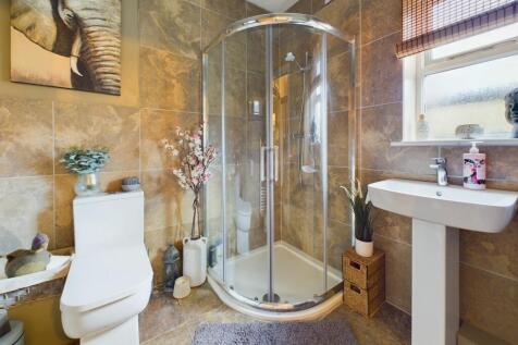 Downstairs Shower Room