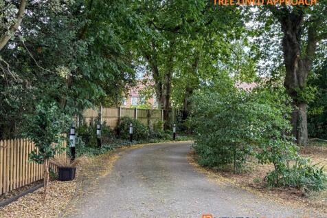 Tree Lined Approach 2