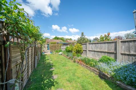 garden 3.jpg