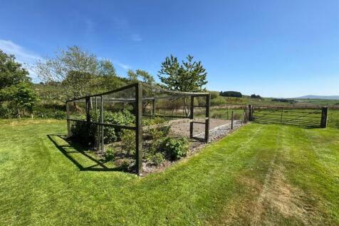 PHOTO-2025-05-16-06-46-24 (5).jpg