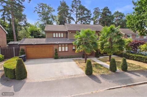 Picture 23