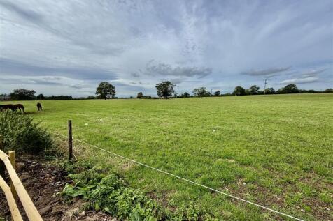 field view.JPG