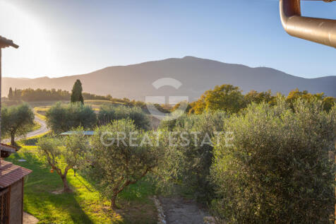 Panorama e Particolari