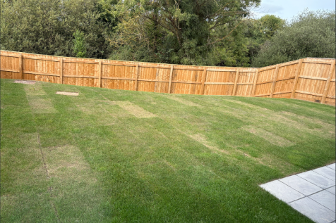 Back Garden