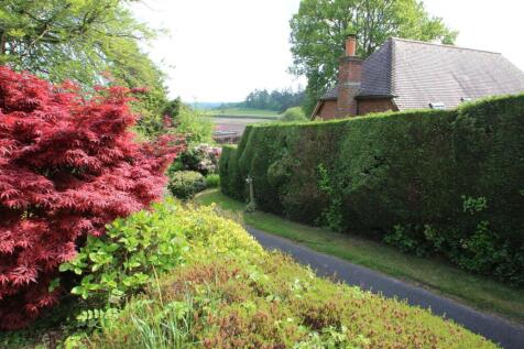 side garden