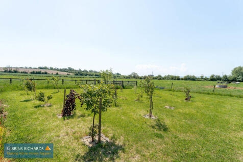 Field