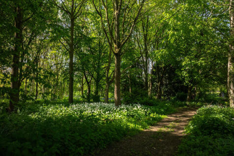 Drone - Thorpe Fa...