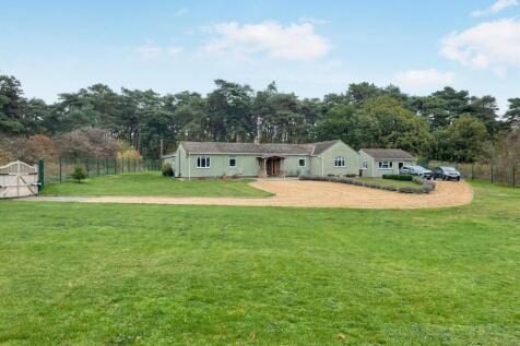 tlc_302320a9-25c7-4d16-91fb-6634eed9f1d7_65d06cf.j