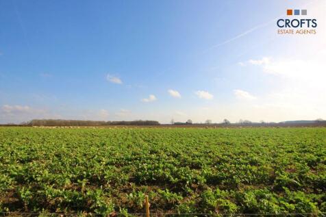 Open field views