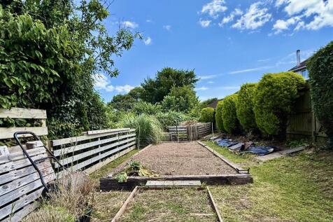 Vegetable Garden.jpg