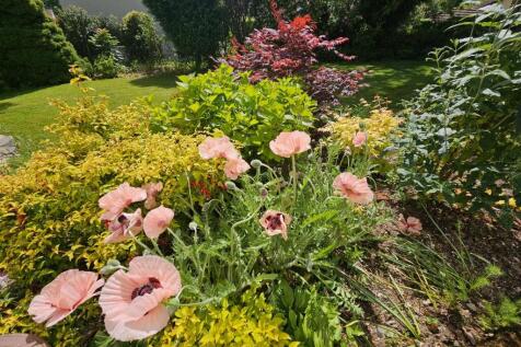 Gardens (3).jpg