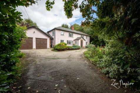 Property Image 34