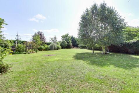 Orchard & Open Grassed Area