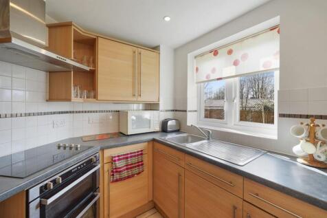 03-ddb4JUS08485 (1)-medium.JPG