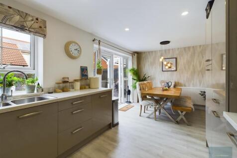 CAM02558G0-PR0203-ST