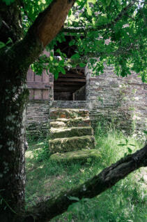 291612 - JAYS 12.6.25-141.jpg