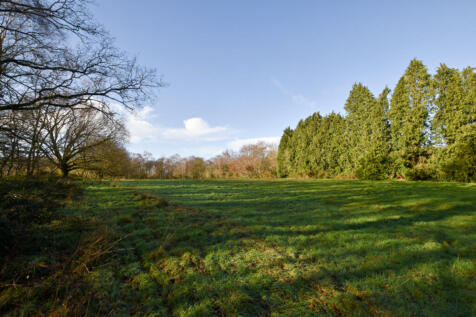 Field