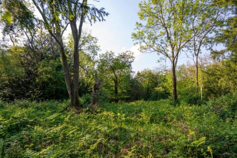 Juniper Stables woodlands-3.jpg