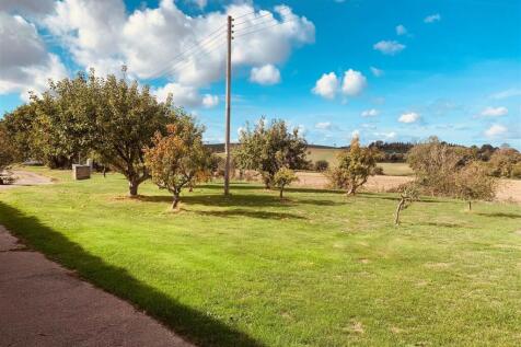 Orchard 1.jpg