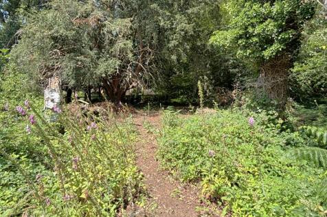 Private Woodland