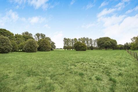 Meadow