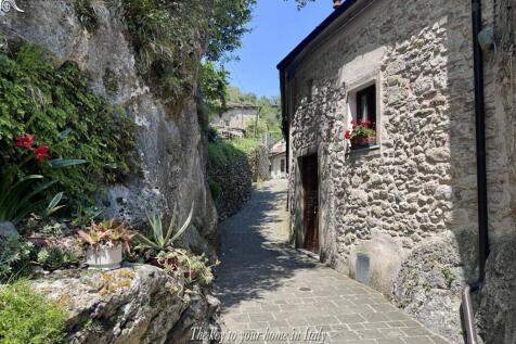 IMG_8270(1)