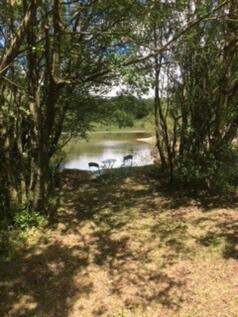 Lake Song 1