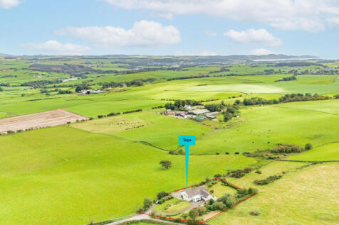 Aerial Plot View